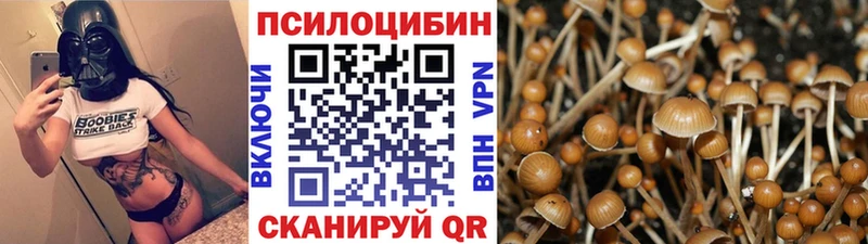 Псилоцибиновые грибы GOLDEN TEACHER  наркота  Макаров 
