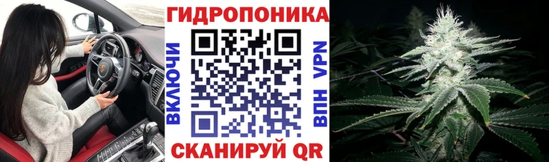 Бошки Шишки VHQ  Макаров 